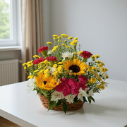 Cheerful Rays