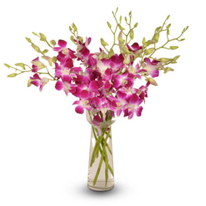 Flowers for Birthdays, All India Delivery, Send Flowers, Cake Online ...