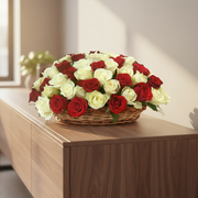 Red & White Bundle