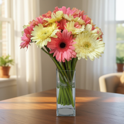 Gorgeous Gerberas