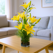 Lily View