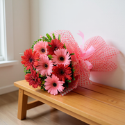 Happy Daisies