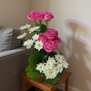 Soothing Pink