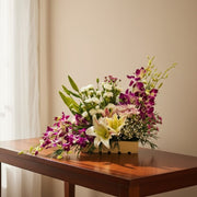 Orchid Delight