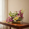 Orchid Delight