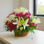 Grace in Bloom