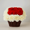 Smart Chic Carnations