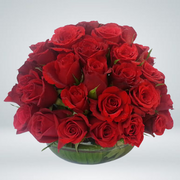 Exotic Red Roses