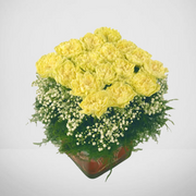 Pretty Yellow Carnations