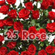 Fresh 25 Red Roses - florista-in