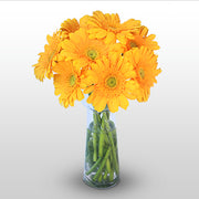 Bright Sunny flowers - florista-in