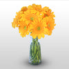 Bright Sunny flowers - florista-in