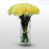 18 carnations - florista-in